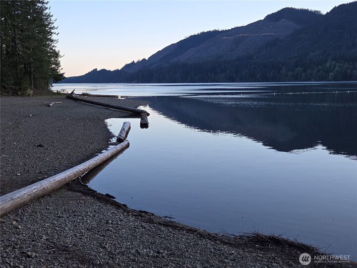 Property Photo: 41 N Mt Rose Avenue WA 98548