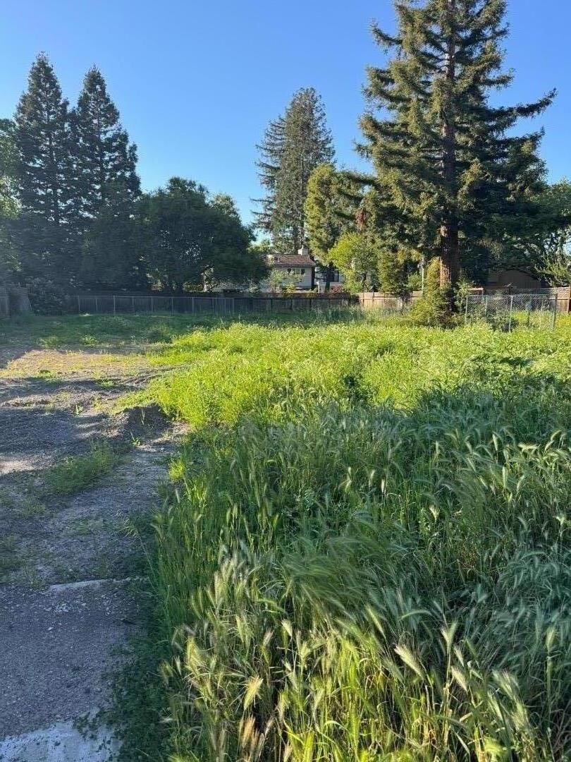 Property Photo:  543 Encina Avenue  CA 94025 