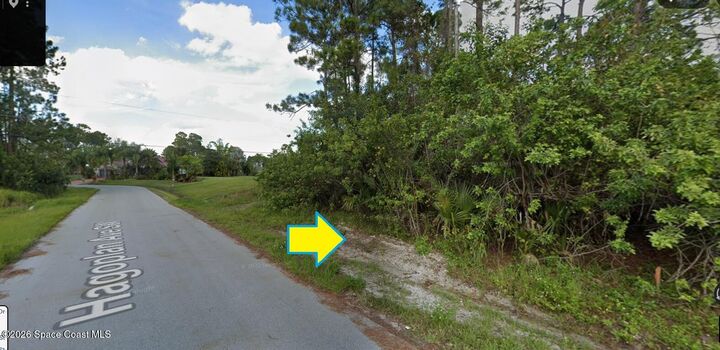 Property Photo:  2321 Hagoplan Avenue SW  FL 32908 