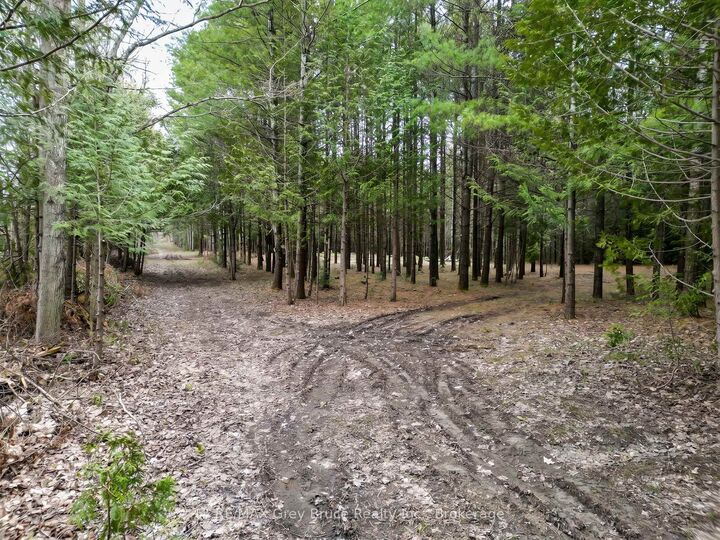 Property Photo:  523782 Concession 12 Road  ON N0C 1H0 