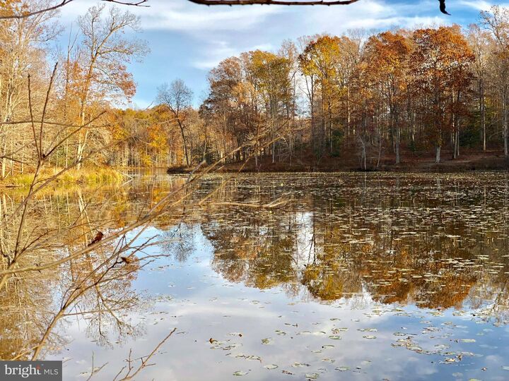 Property Photo:  Lot 3 And 4 Piney Branch Road  VA 22553 