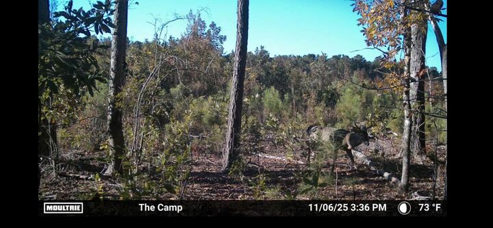 Property Photo:  Tbd Chair Rd.  SC 29554 