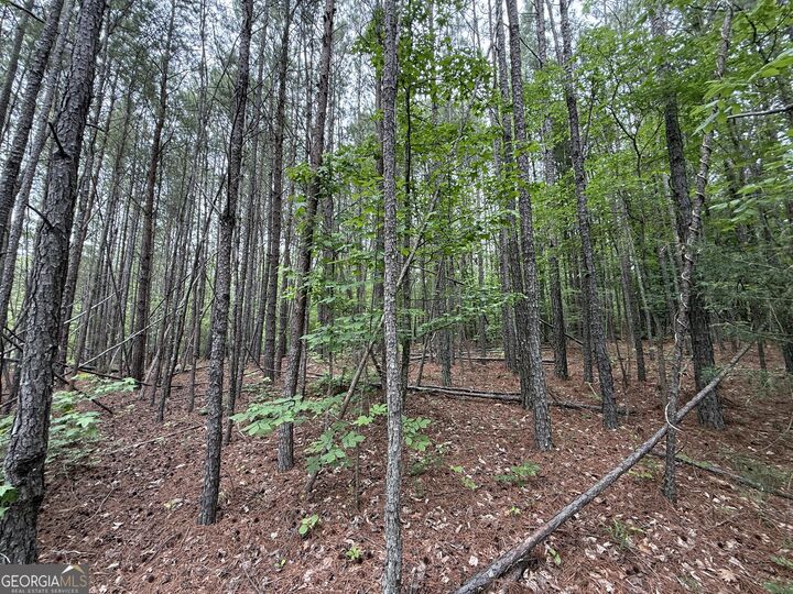 Property Photo:  0 Natures Walk Drive  GA 30165 