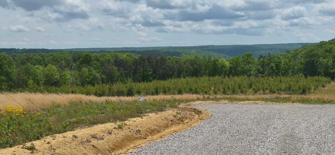 Property Photo:  
