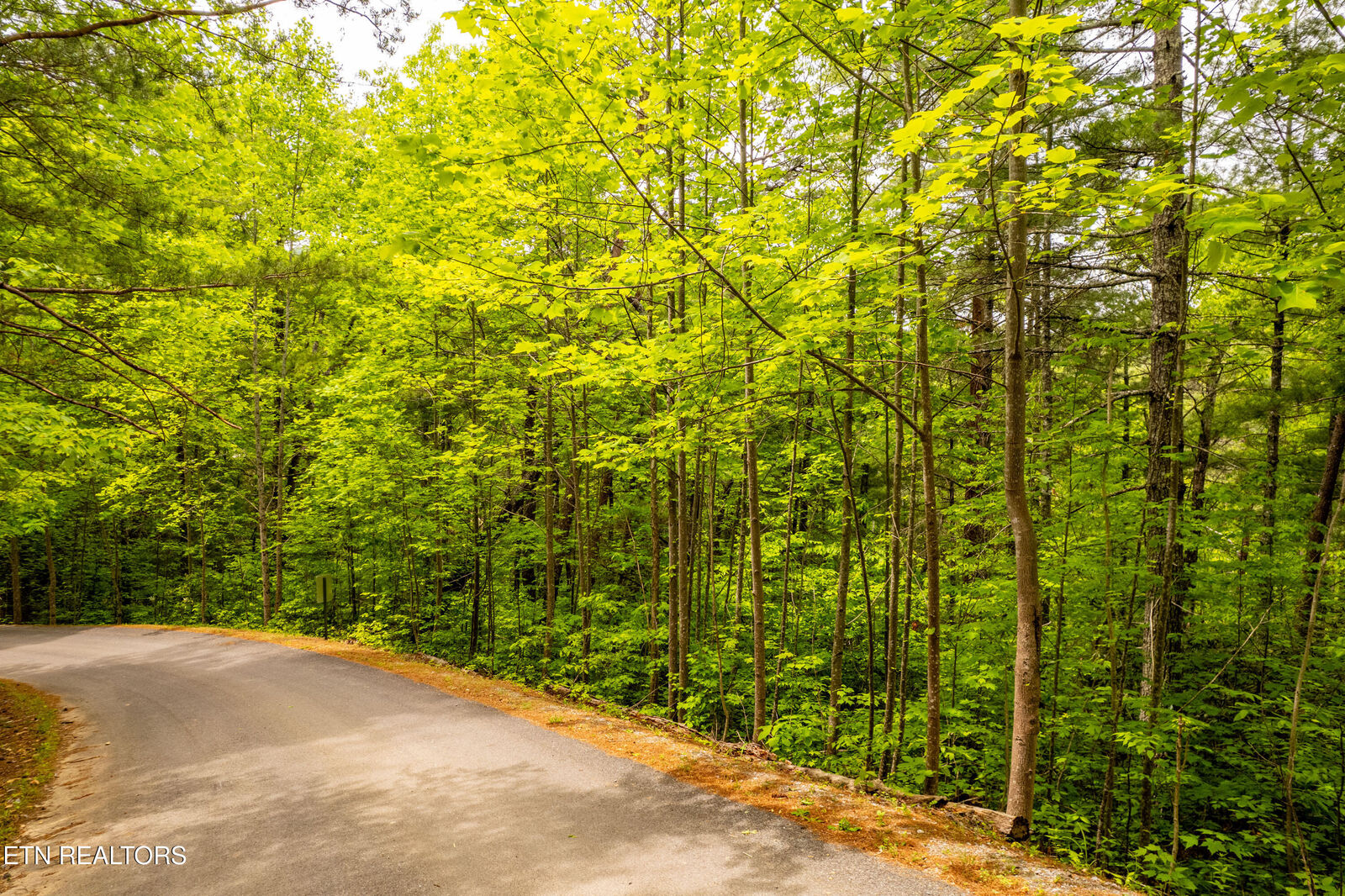 Property Photo:  914 Stonegate Way  TN 37882 