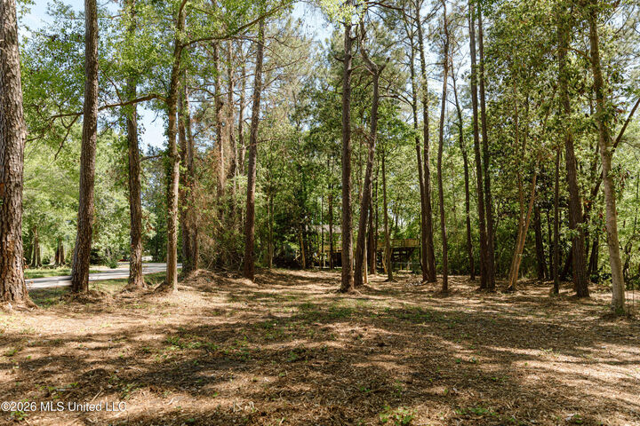 Property Photo:  Honduras Drive  MS 39553 