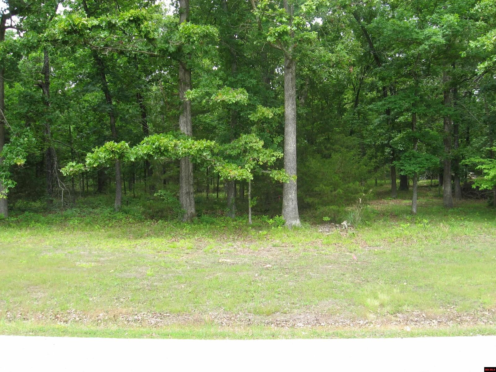 Property Photo:  37 Windsong Place  AR 72653 