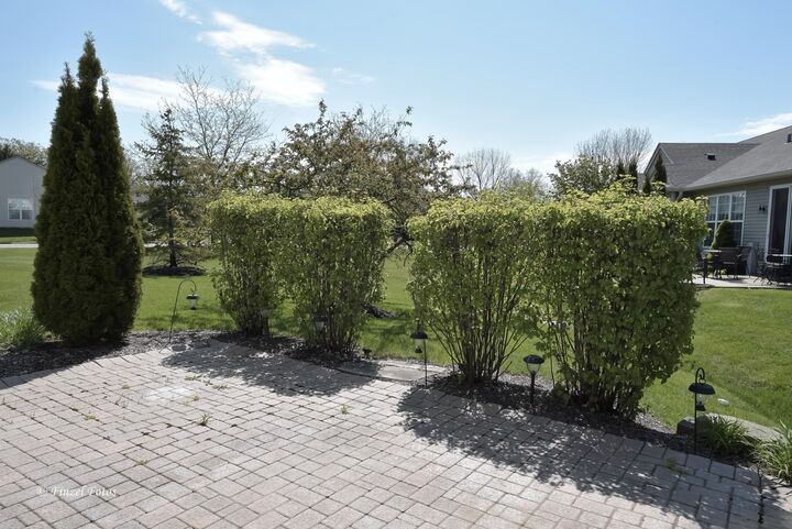 Property Photo:  11339 Bellflower Lane  IL 60142 