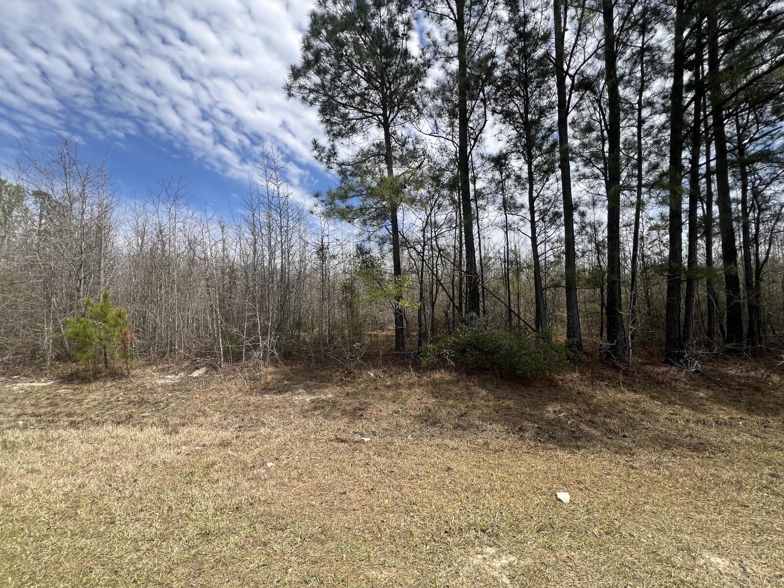 Property Photo:  0 Marshall Church Road  GA 30824 