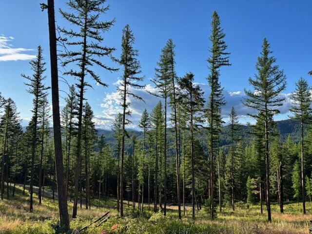 Property Photo:  11509 Timber Ridge Lane  MT 59808 
