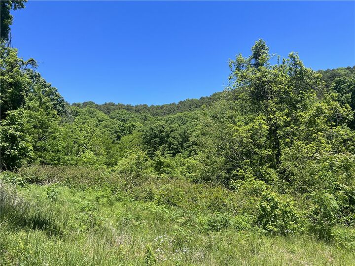 Property Photo:  Terrapin Road  AR 72601 