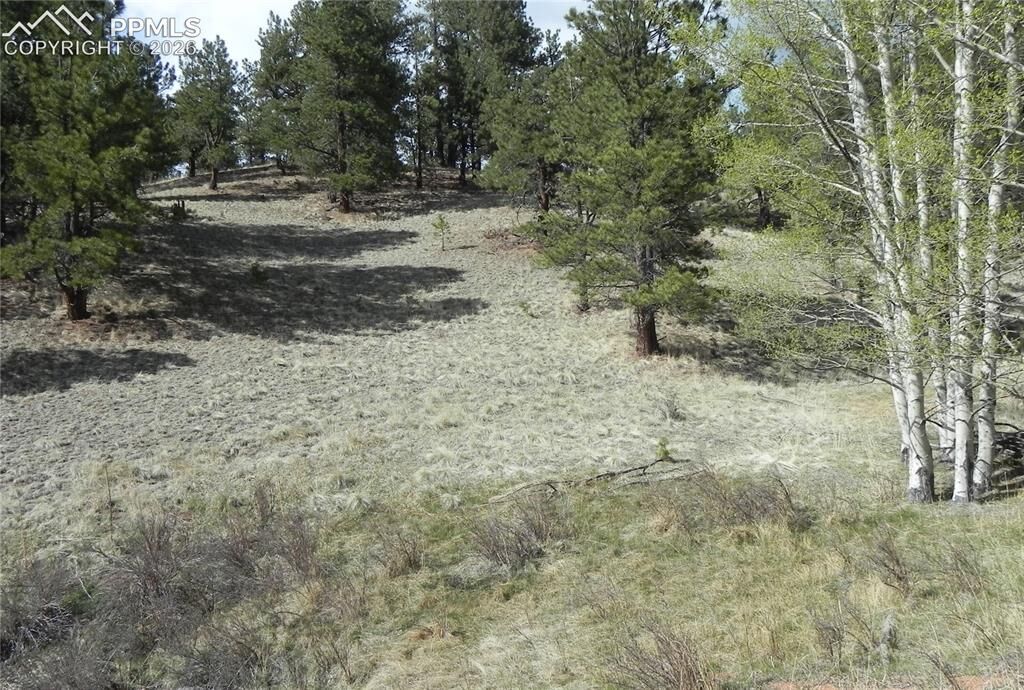 Property Photo:  1699 Monarch Drive  CO 80813 