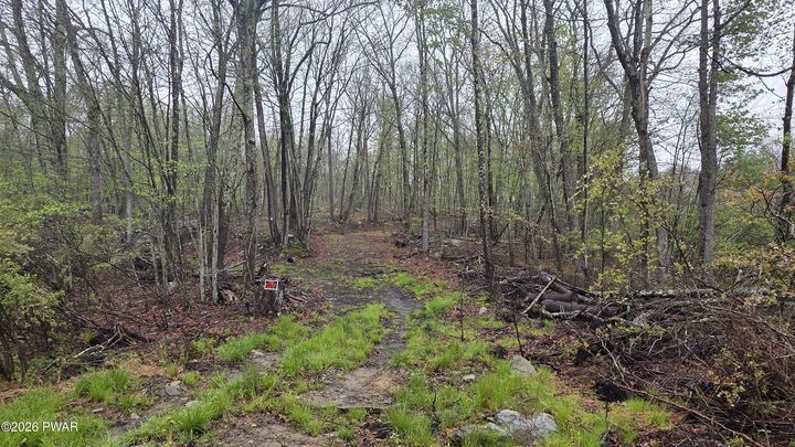 Property Photo:  Lot 1 White Birch Drive  PA 18428 