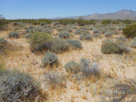 Property Photo:  Mercury  CA 93527 
