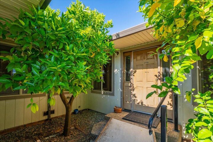 Property Photo:  6909 Granada Drive  CA 96002 