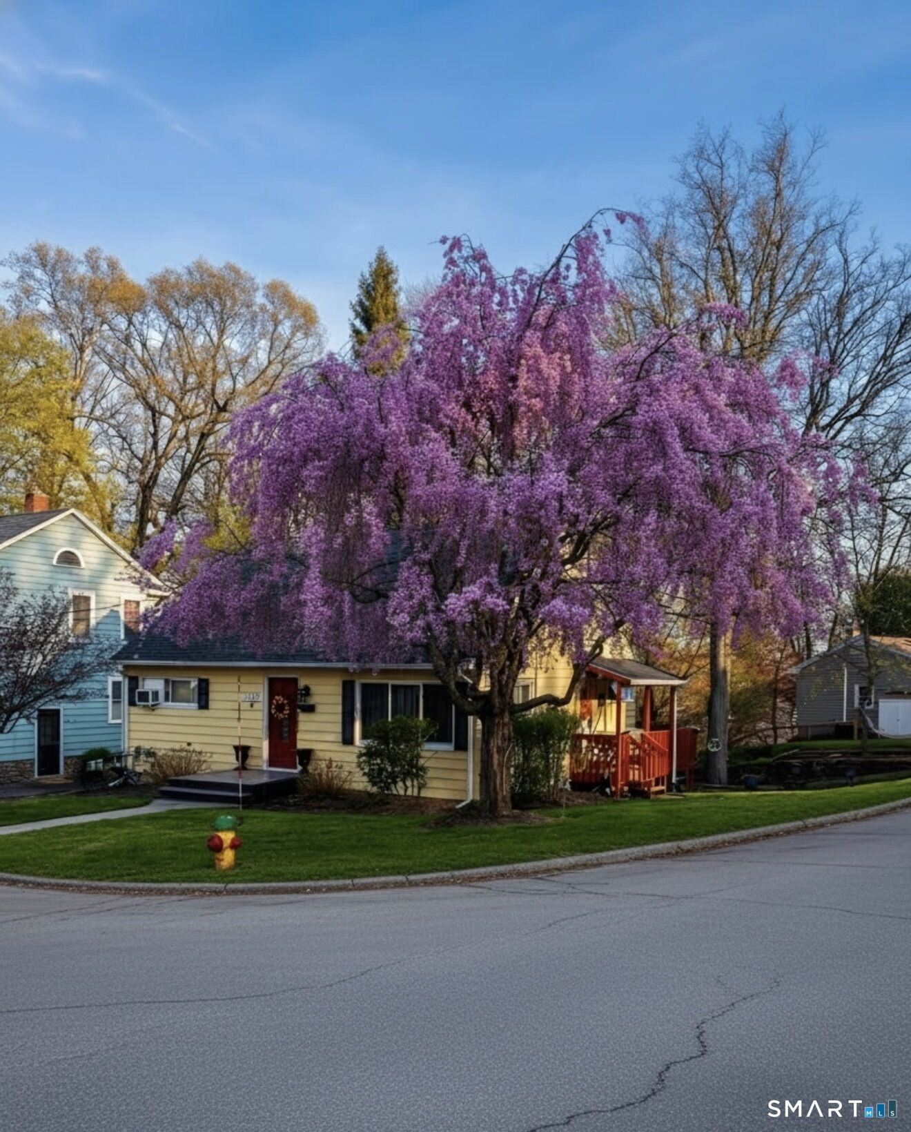 Property Photo:  159 Arden Road  CT 06708 