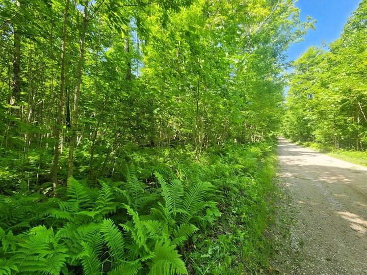 Property Photo:  20 Ac Camp 23 Rd.  MI 49840 