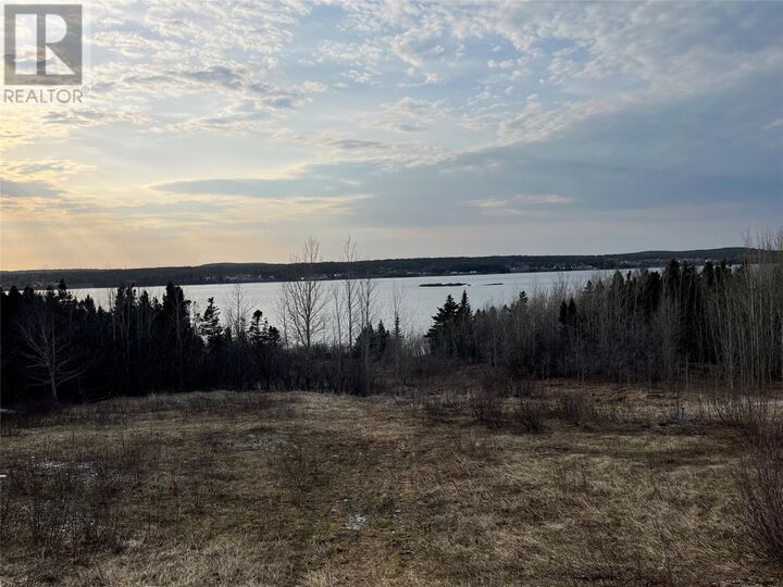 Property Photo:  63 Main Street  NL A0G 2T0 