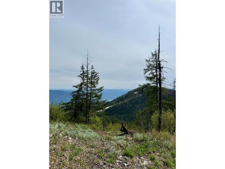 Property Photo:  Dl640 Granite Mountain Road  BC V0G 1Y0 