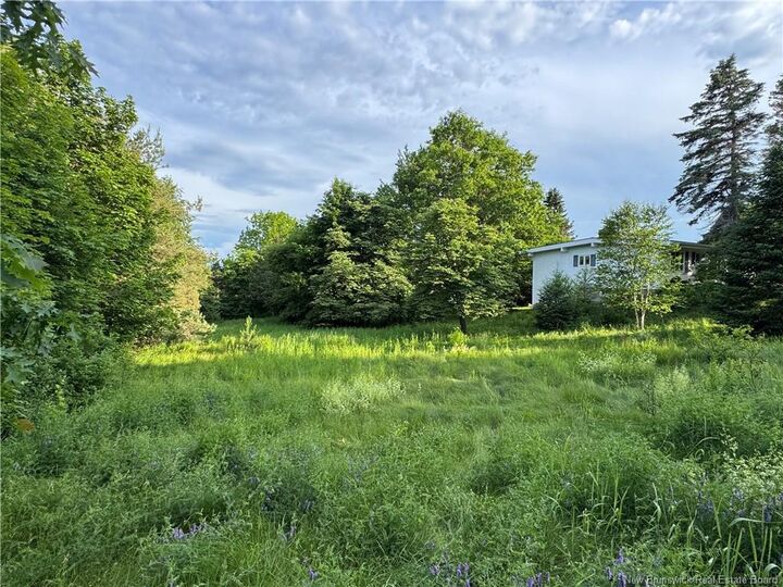 Property Photo:  Lot Harris Drive  NB E4L 3X6 