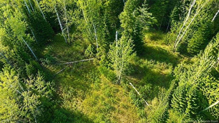 Property Photo:  Lot Newburg Road  NB E7N 1N5 