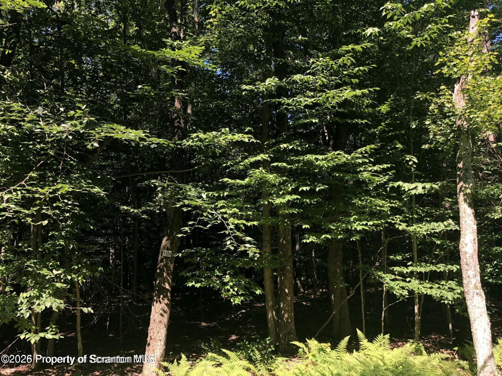Property Photo:  H-1128 E Creek View Drive  PA 18424 