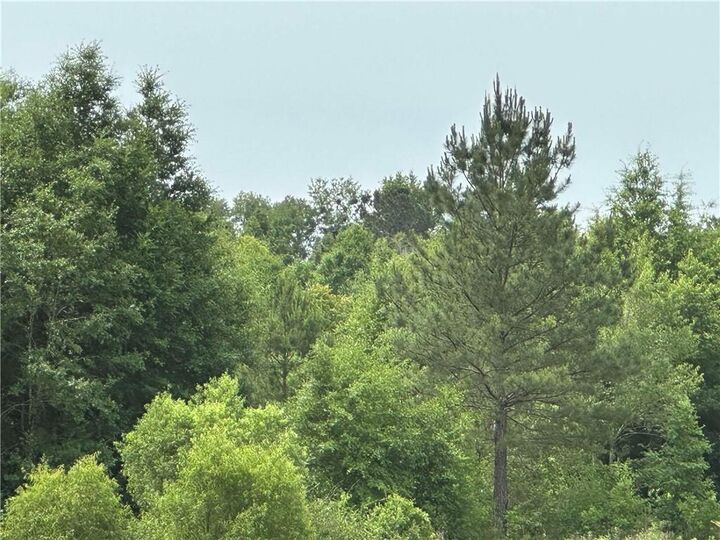 Property Photo:  0 County Road 54 Road  AL 36526 