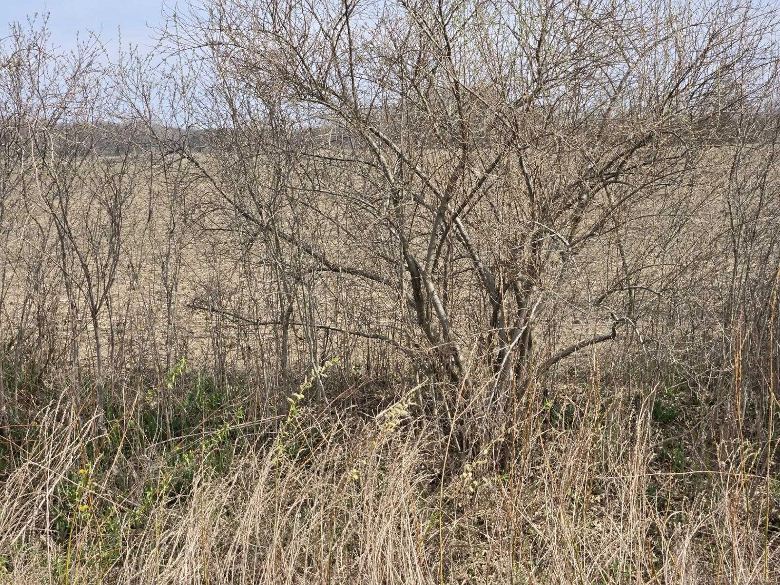 Property Photo:  0 Weber (Lot B) Road  MI 48063 