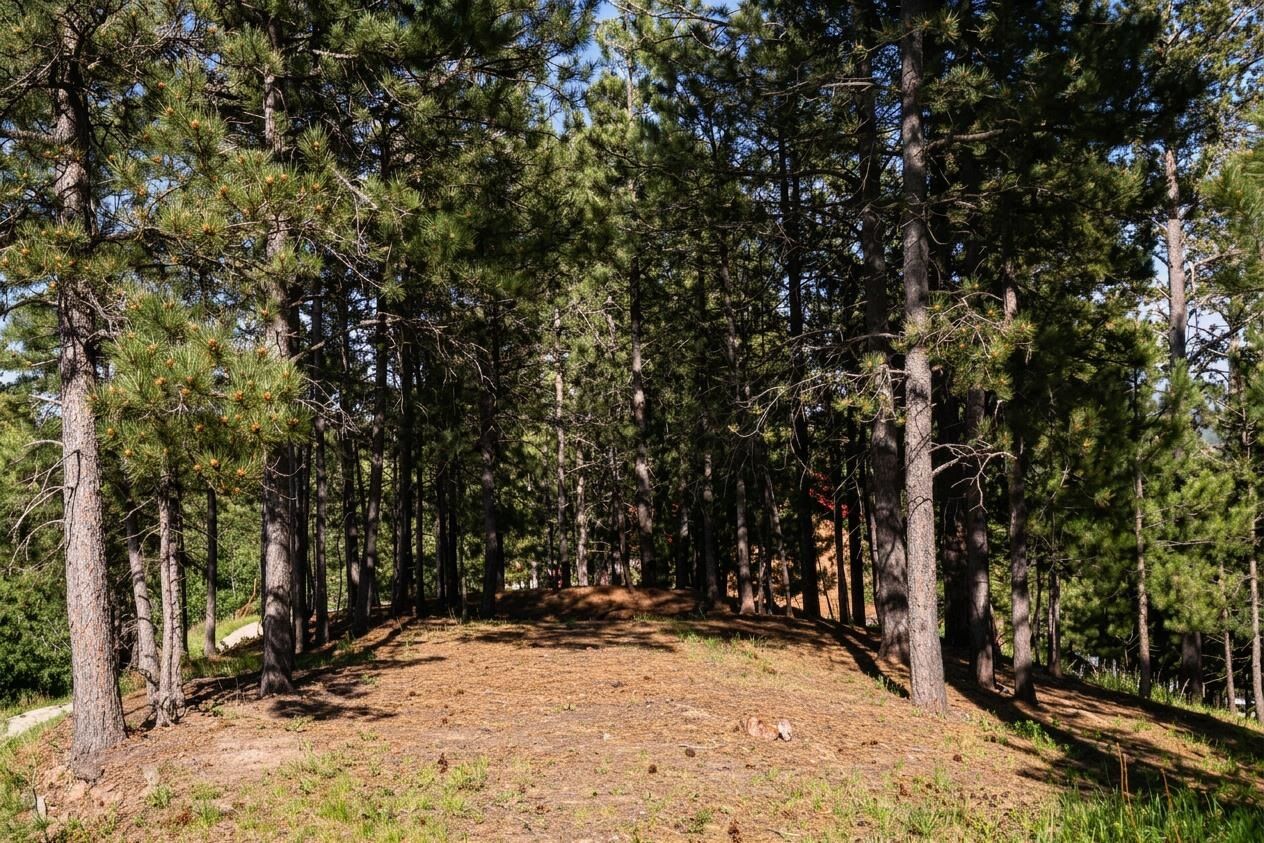 Property Photo:  Tbd Davidson Court  SD 57754 