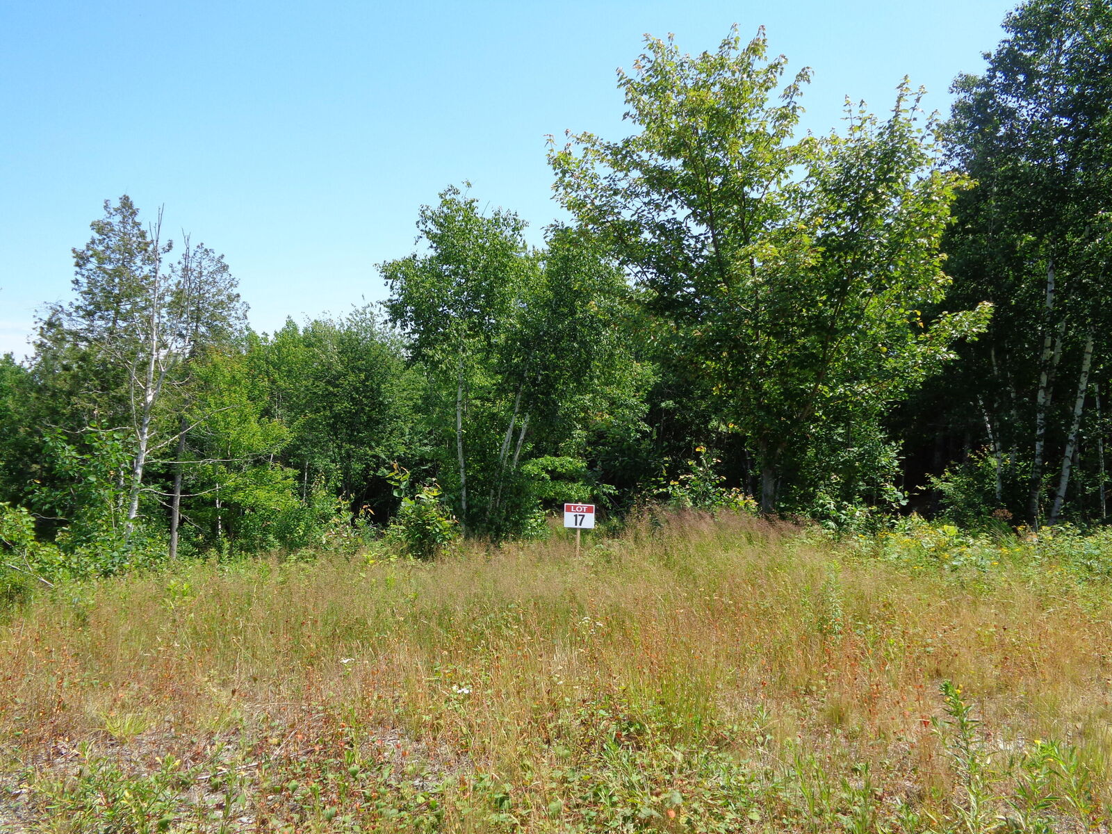 Property Photo: Lot 17 Bailey Mountain Road ME 04634