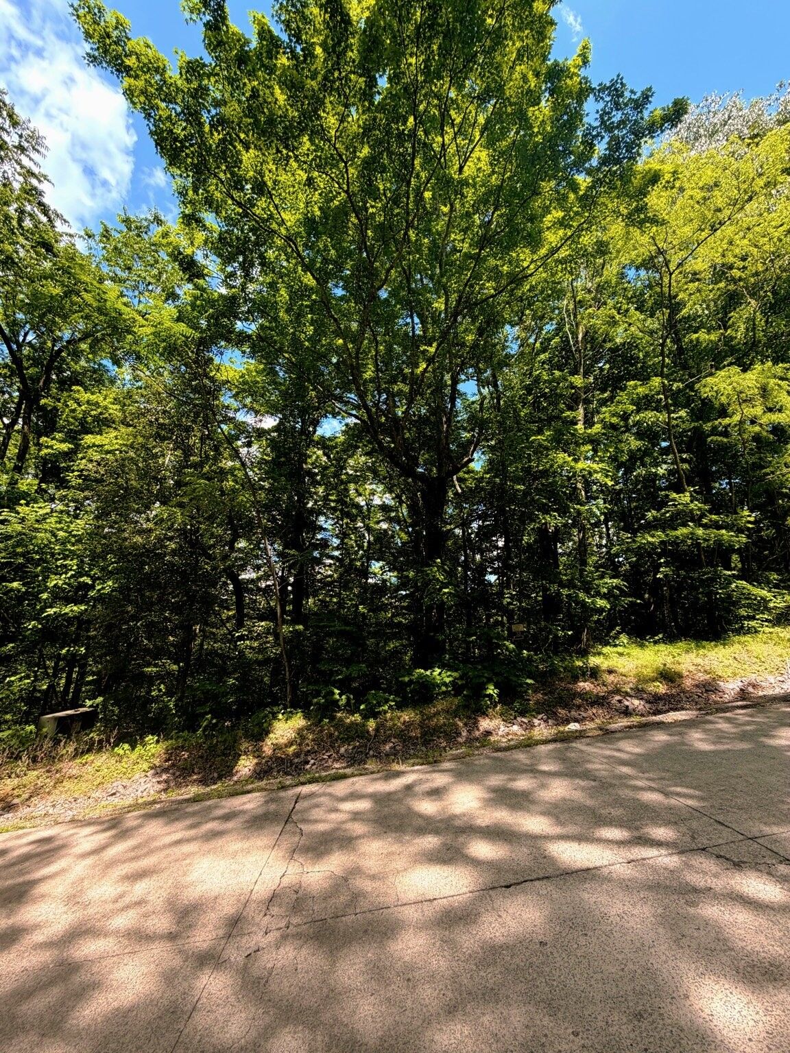 Property Photo:  33 Swiper Dr  TN 37166 