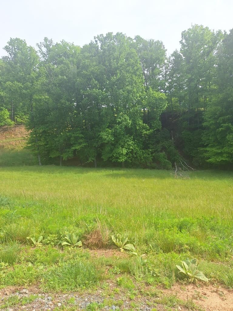 Property Photo:  Lot 67 Hillside  GA 30560 