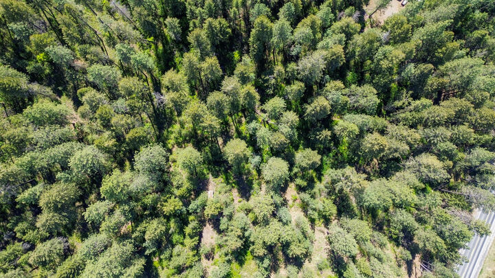 Property Photo:  1879 Washington 25 S  WA 99141 