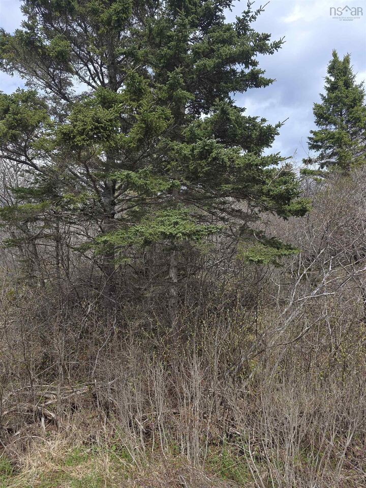 Property Photo:  Nil Sandy Point Road  NS B0T 1W0 