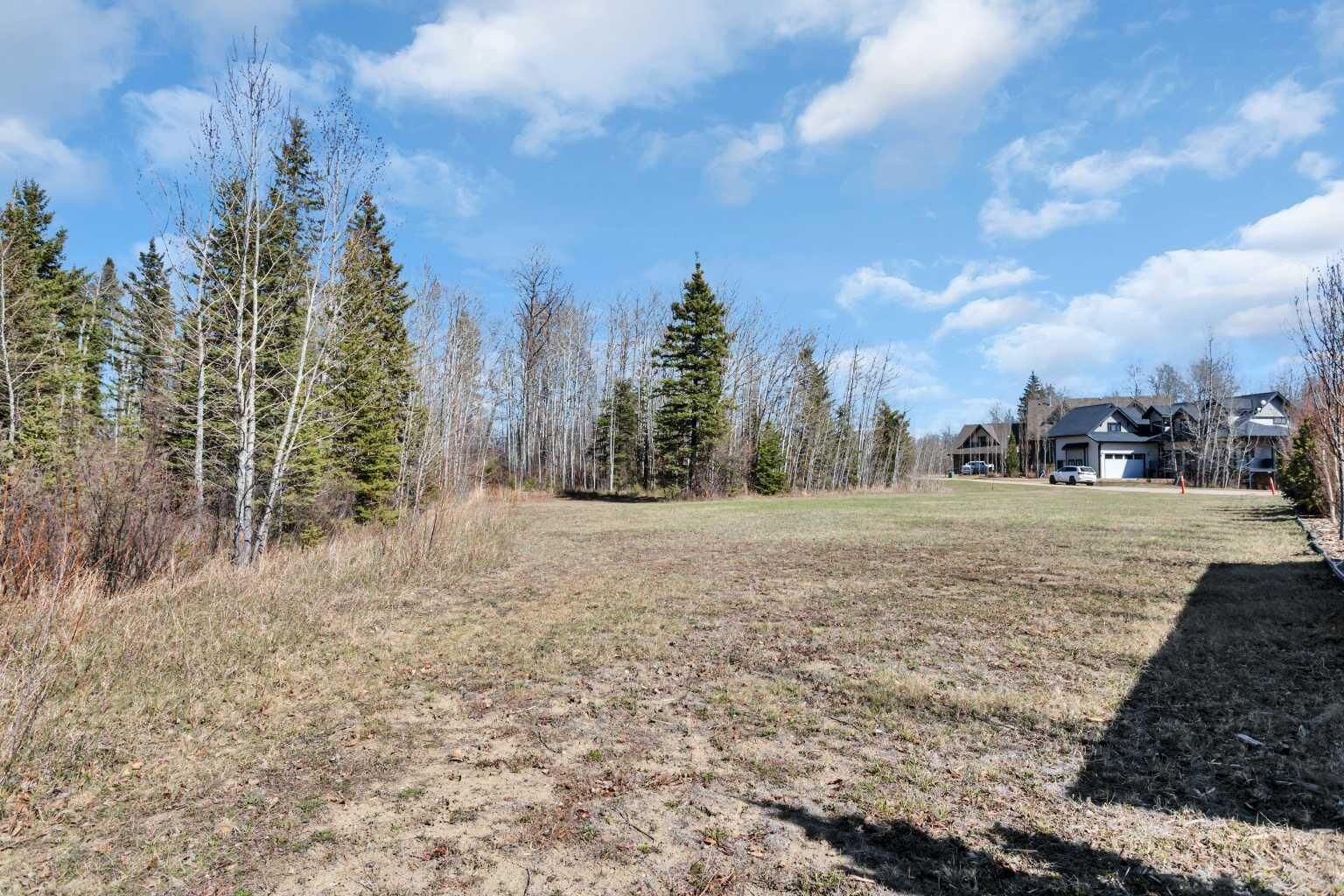 Property Photo:  420 Summer Crescent  AB T0C 2J0 