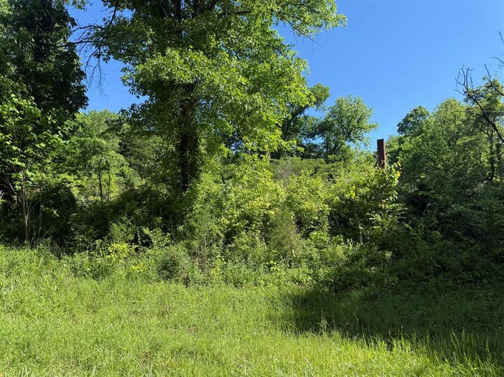 Property Photo:  9601 Boatman Road  KY 42171 