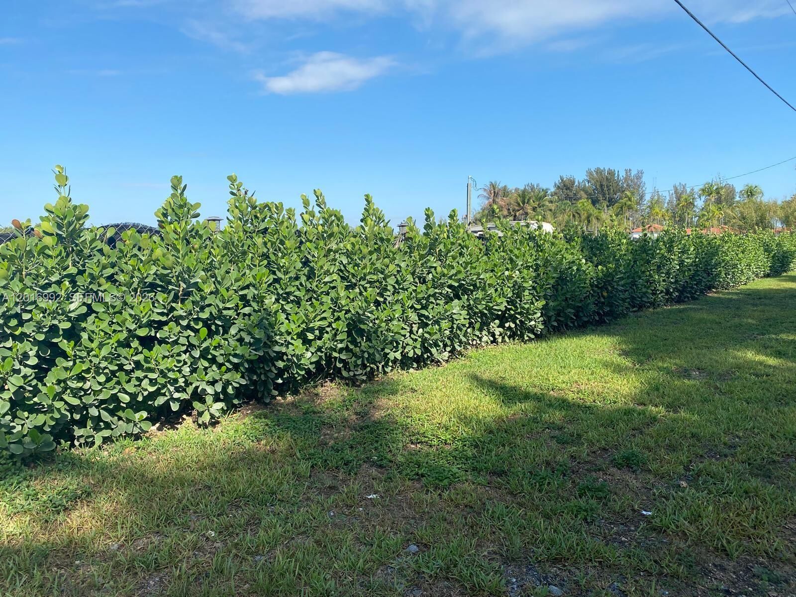 Property Photo:  15542 SW 212th Ave  FL 33187 
