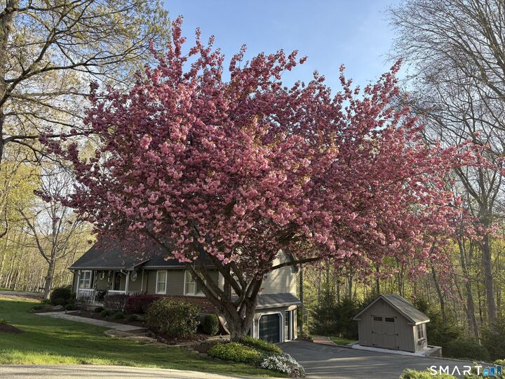 Property Photo:  9 Brooks Lane  CT 06442 