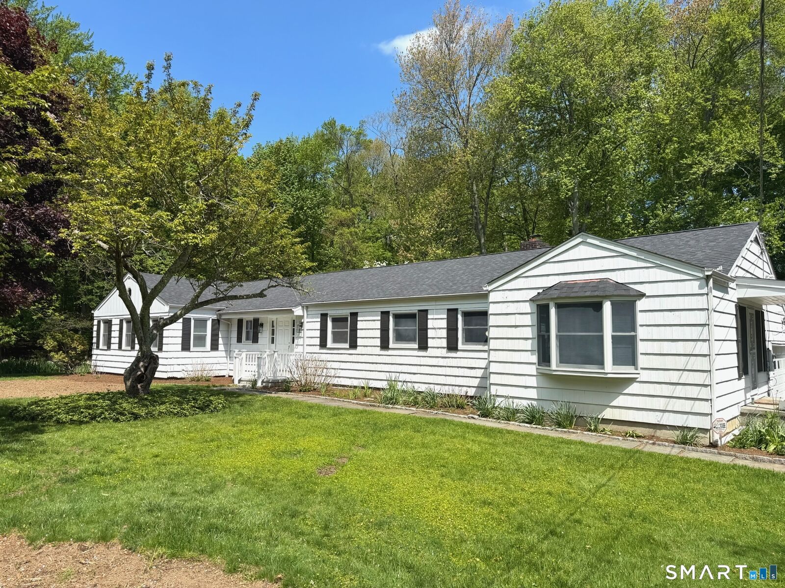 Property Photo:  511 Roxbury Road  CT 06902 