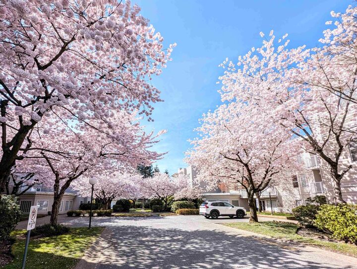 Property Photo:  9948 151 Street 311  BC V3R 0V6 