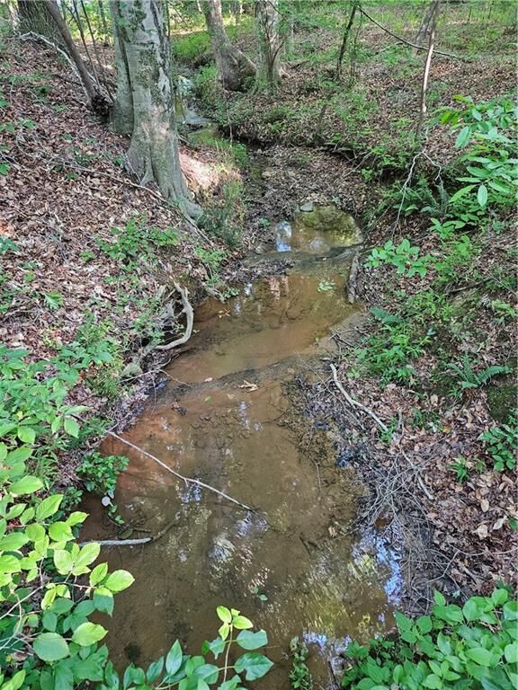 Property Photo: 0 Ponderosa Trail GA 30132