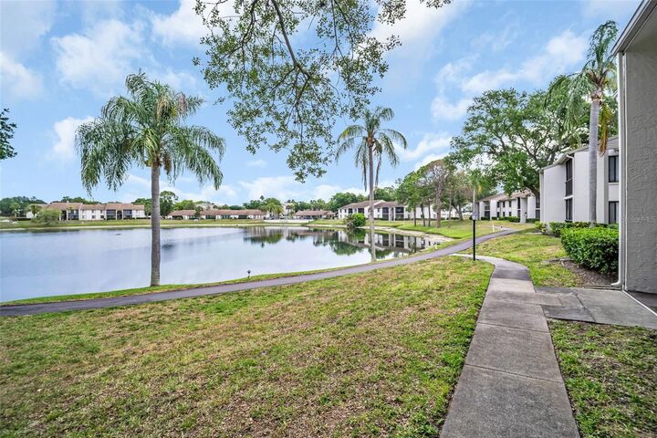 Property Photo:  2523 Pine Ridge Way S C2  FL 34684 