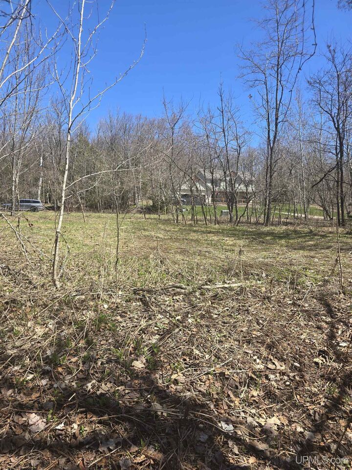 Property Photo: Tbd Crestwood Drive MI 49930