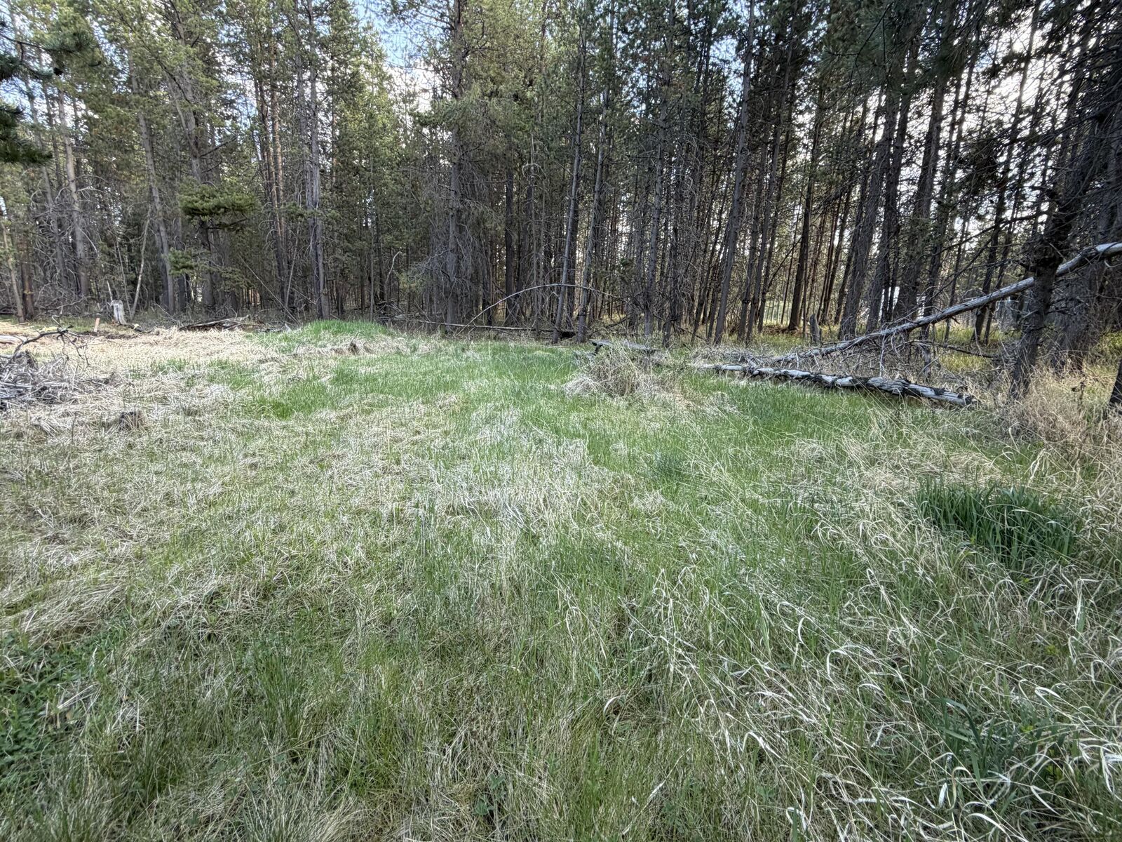 Property Photo:  16783 S Century Drive  OR 97707 