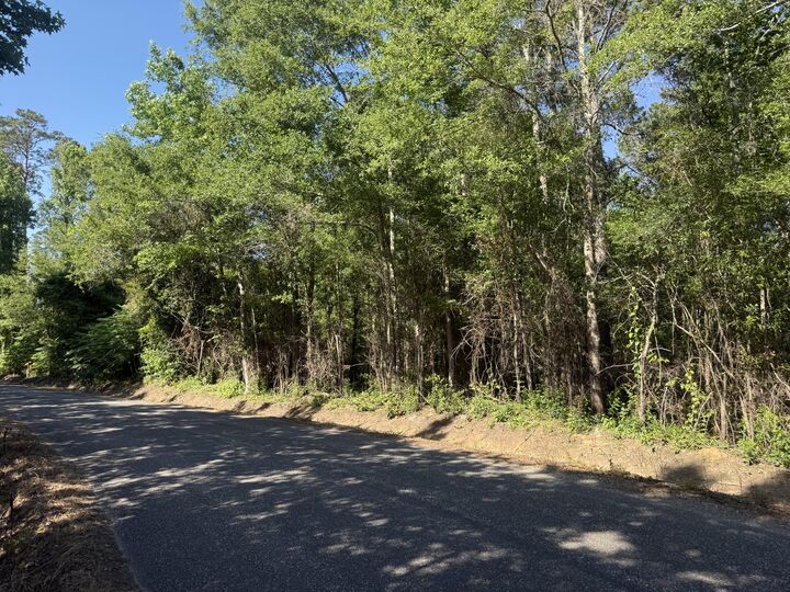 Property Photo:  Clayton Parker Loop  LA 70634 