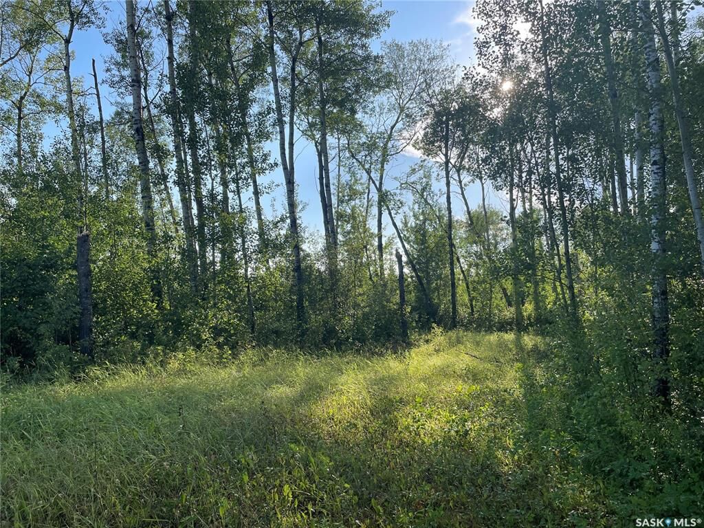 Property Photo:  Rural Address  SK S0J 0E0 