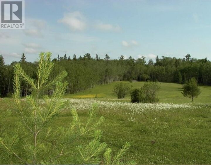 Property Photo:  Pipestone Peninsula, Moore Bay-Andrew Bay-Lake Of The Woods  ON P0X 0A4 