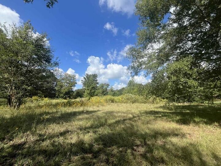 Property Photo:  96 Borland Road  LA 71328 