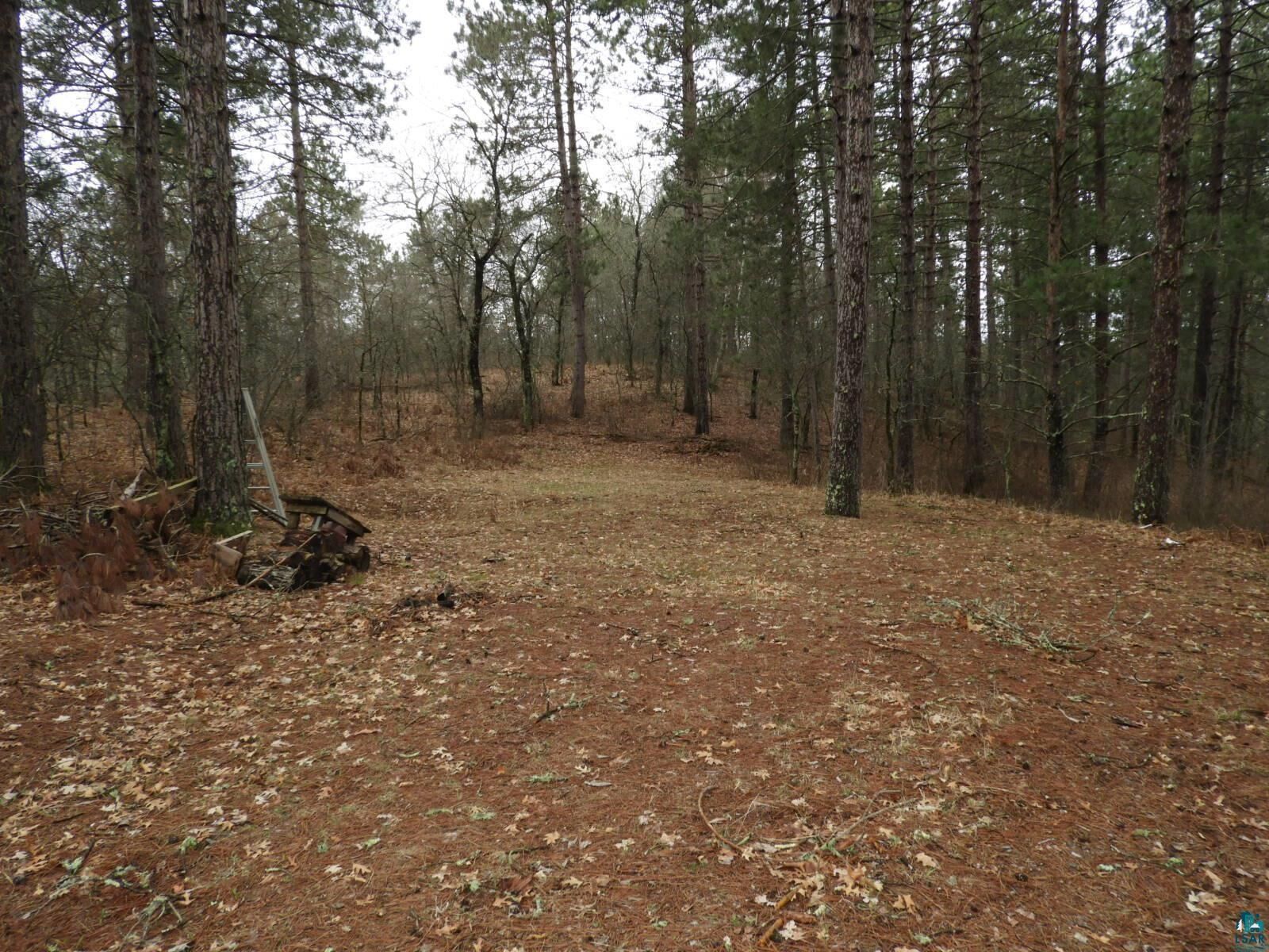Property Photo:  Xxxx Wilderness Ct  WI 54873 