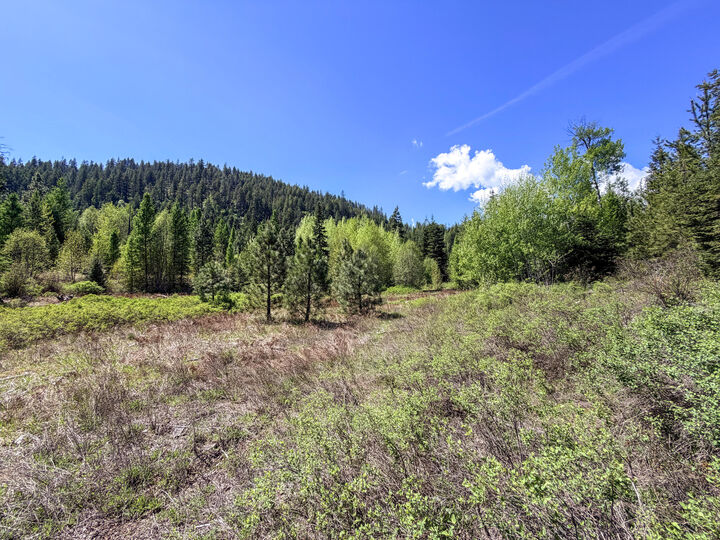 Property Photo:  3499tbd Waitts Lake South Rd  WA 99181 